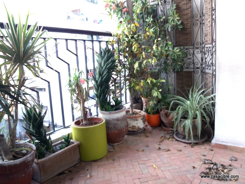 Location Casablanca :: Agence Immobilire  Casablanca